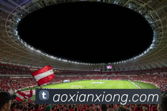OD体育APP 封面图
